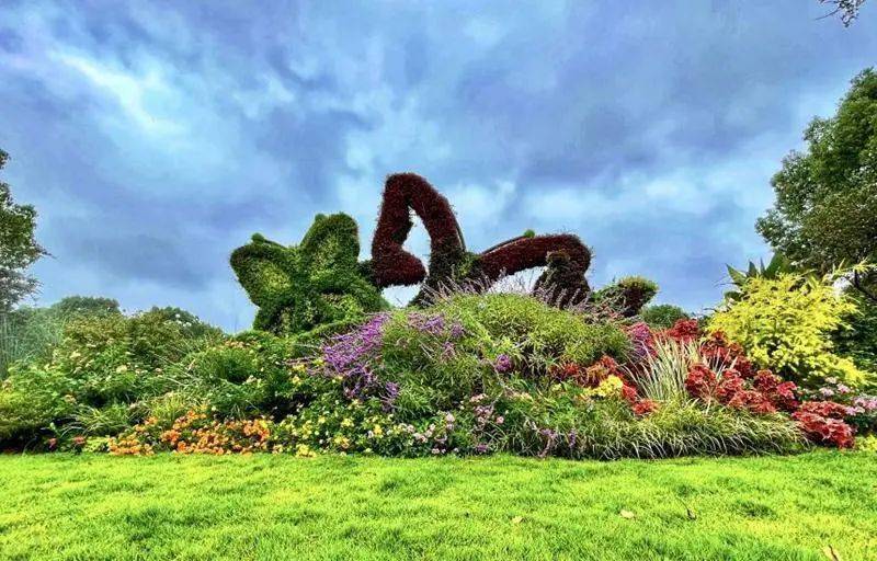 美!嘉兴"走读城市"品质提升花境小品获奖照片来啦