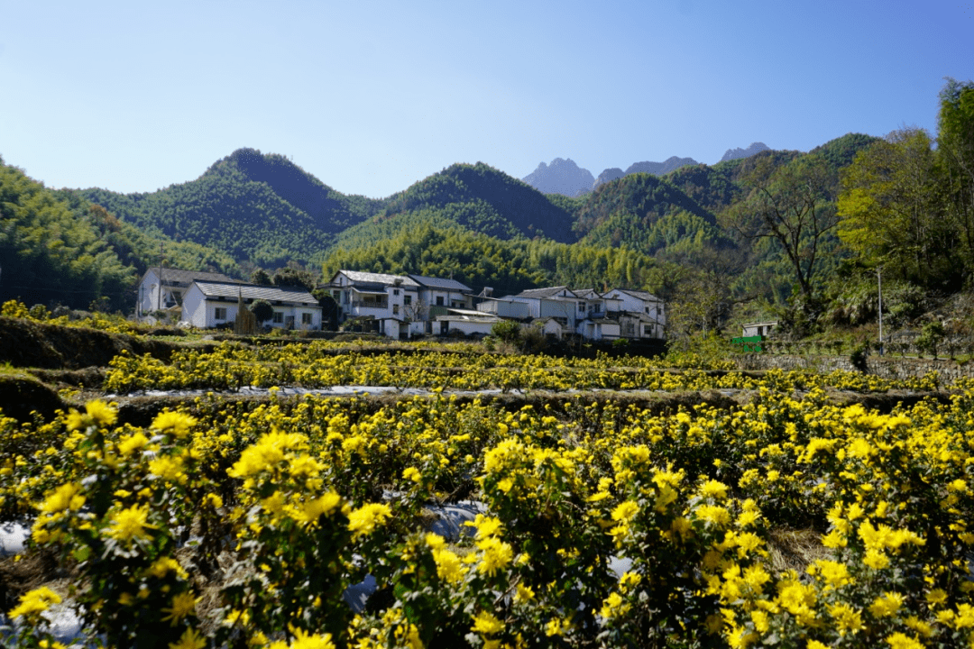 【中国建设报】安徽潜山"不是一个人在战斗"_涧村