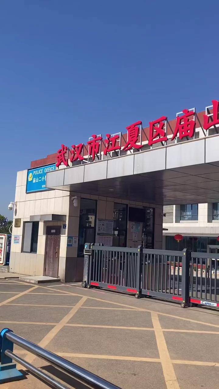 江夏庙山小学图片