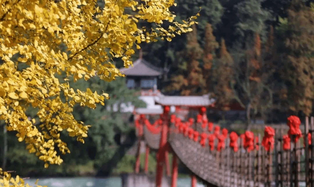 文旅|200万元消费券来了!