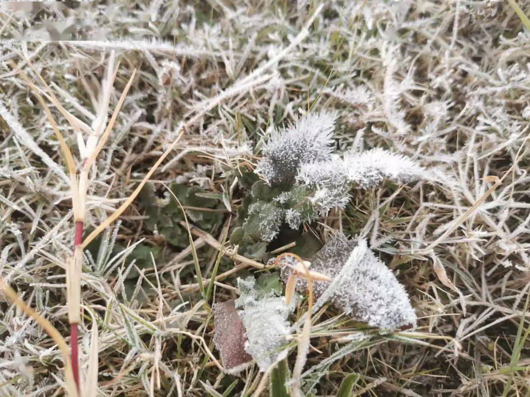 或由露滴冻结而成的冰珠白色冰晶水汽凝华在地面及近地面物体上的霜是