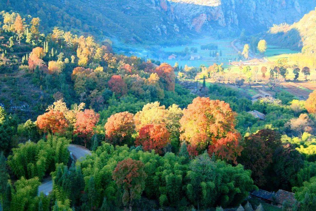 宣威西泽乡:醉了的小山村