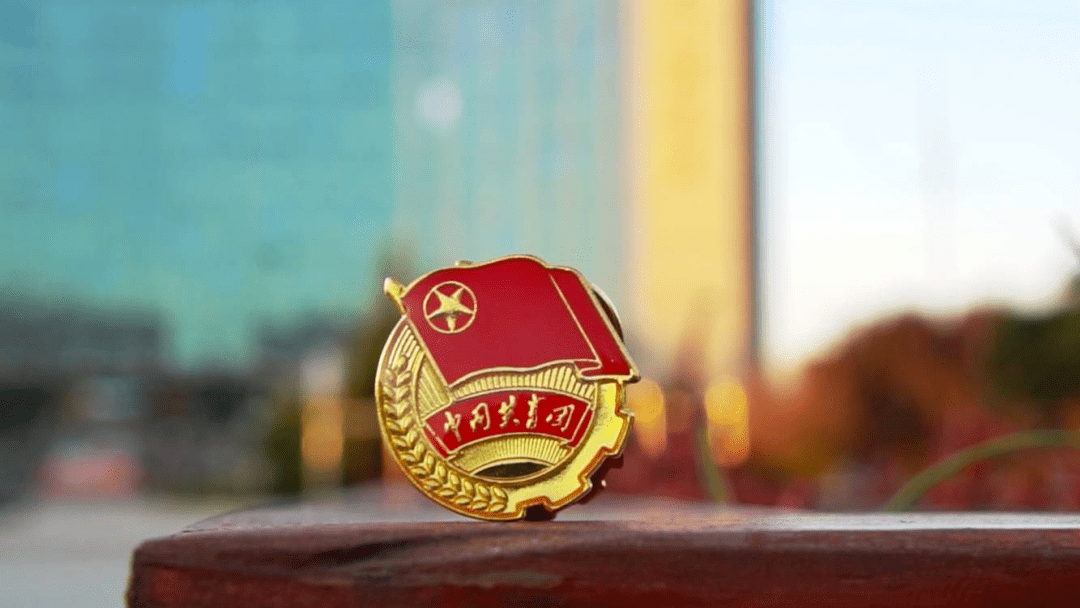 青春献礼高举团旗跟党走花式表白团代会