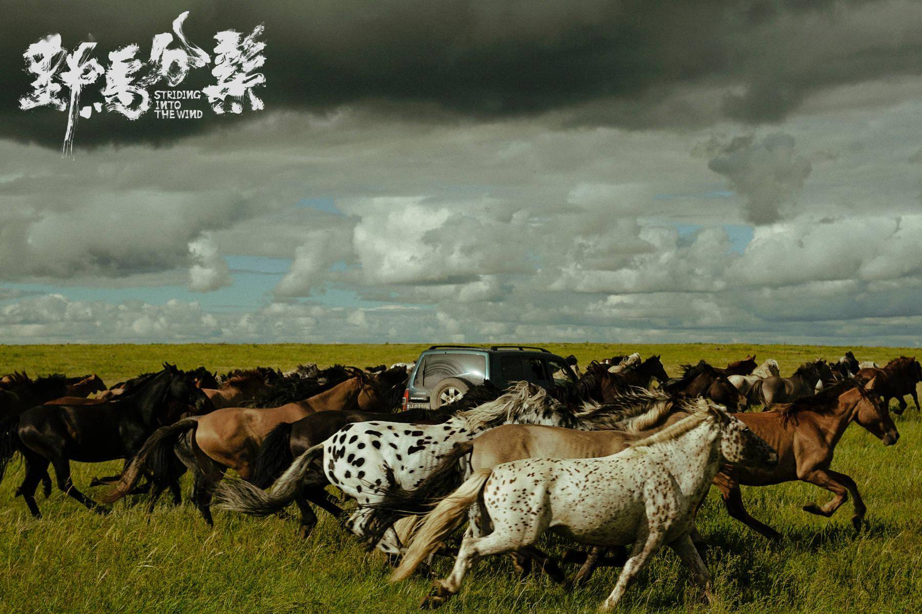 青春|和魏书钧同行，如野马般奔腾的四十五天