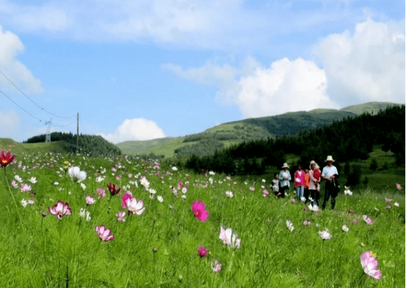 地域|这个隐藏在定西的美丽乡村究竟有多美