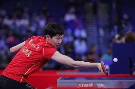 中国|王曼昱横扫晋级32强