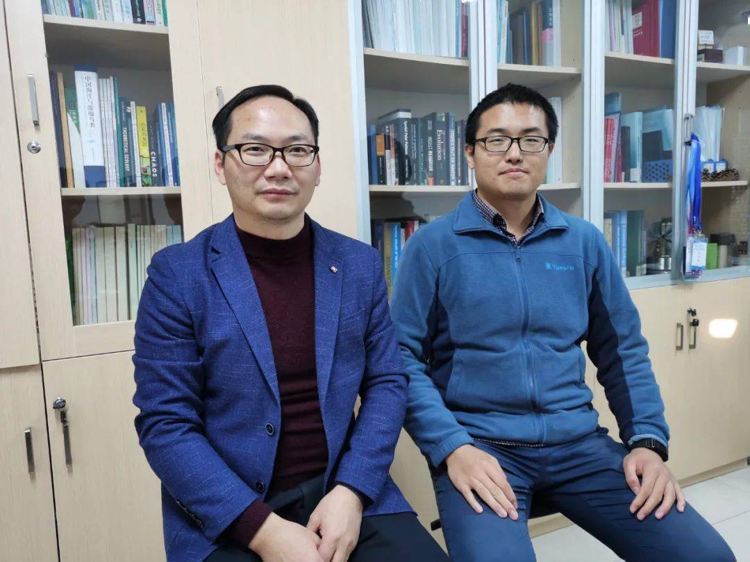 食草动物怎样“驯化”植被系统？华东师大科学家有新发现