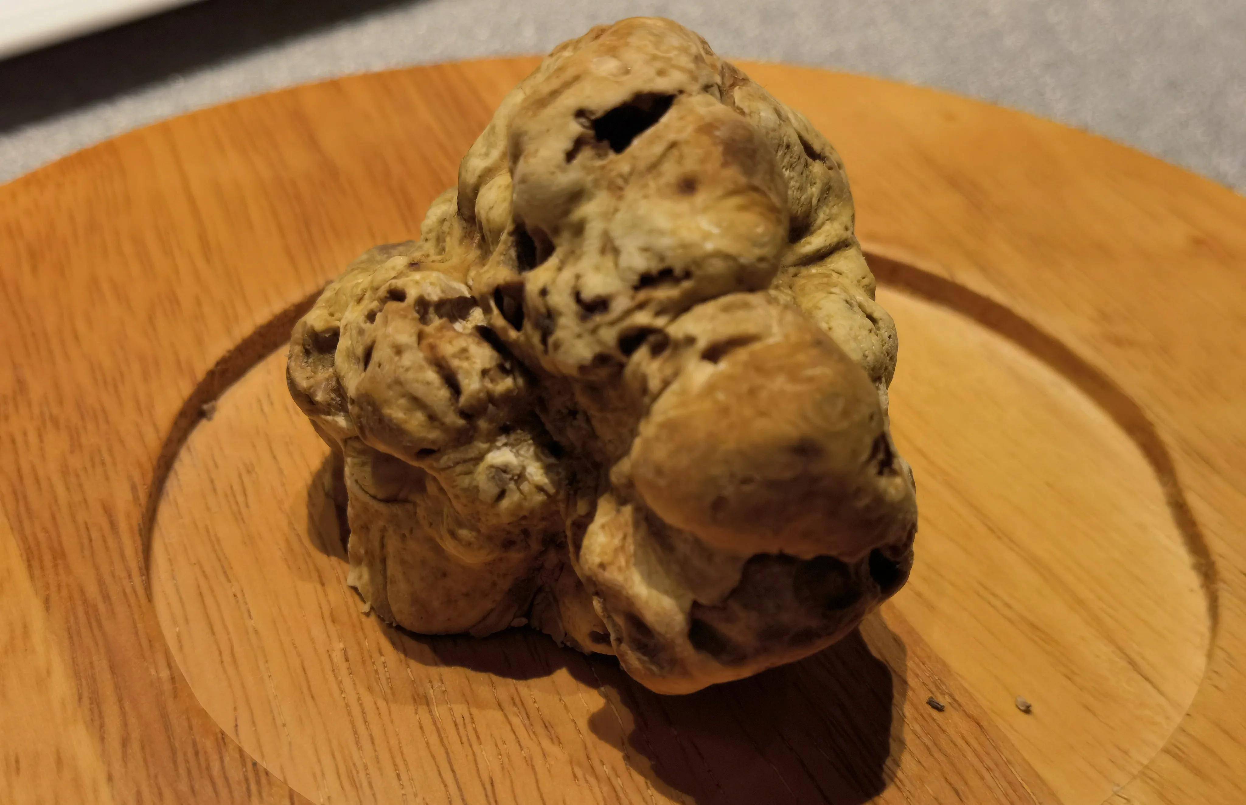 开始记日记#1761 吃了今年第一口应季白松露_申遗