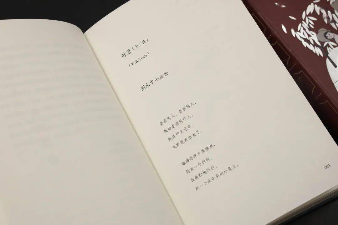 润色,翻译而编定的诗集,收录了叶芝,劳伦斯,庞德,波特莱尔,魏尔伦等