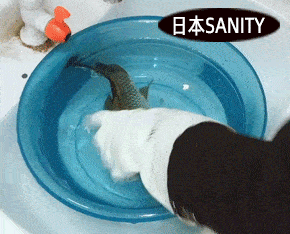 实验日本人又“变态”了，切不烂、砍不断的家务手套，感觉能用一辈子