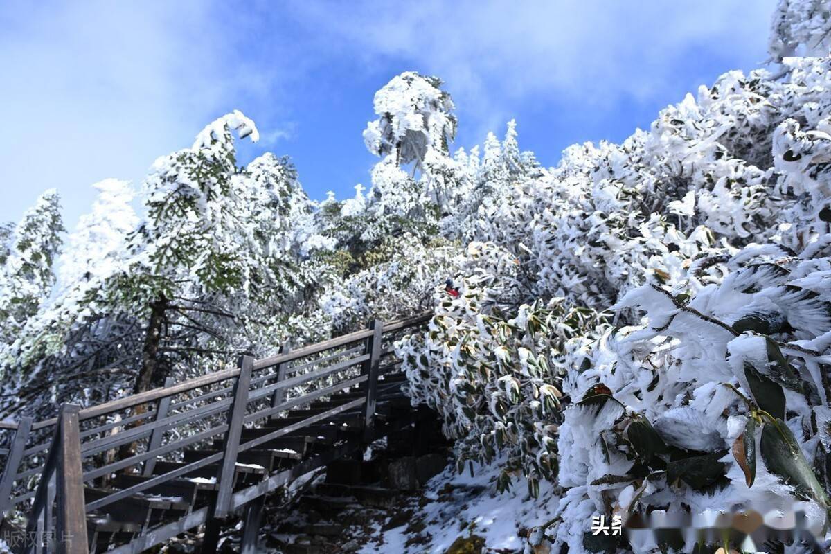 昆明真实下雪照片图片