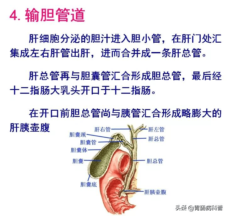 30df9de466cd4b458f8009d017c7a8d3.png