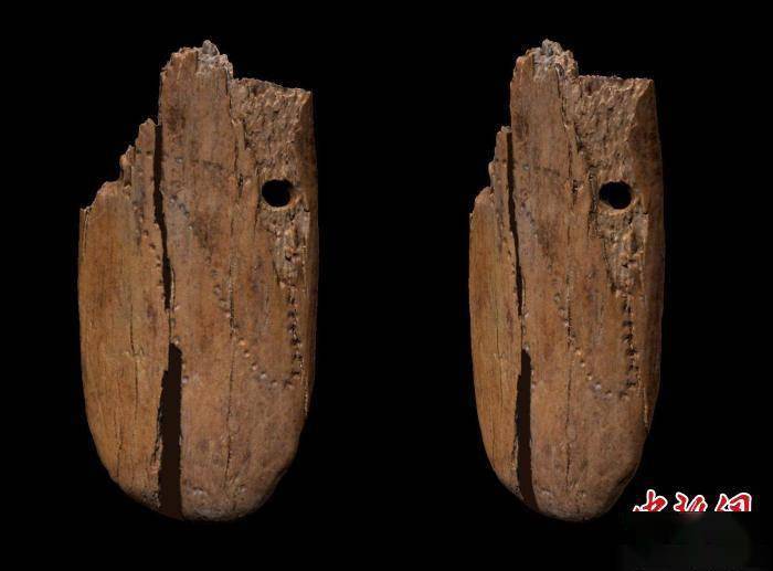 最新研究:欧亚大陆最早人类装饰珠宝为4.15万年前猛犸象骨吊坠