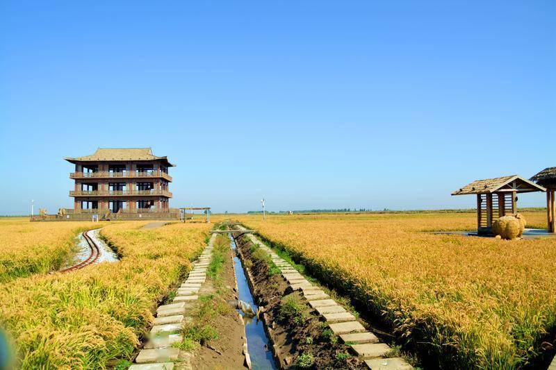 风景|去一个叫：辽宁盘锦的地方