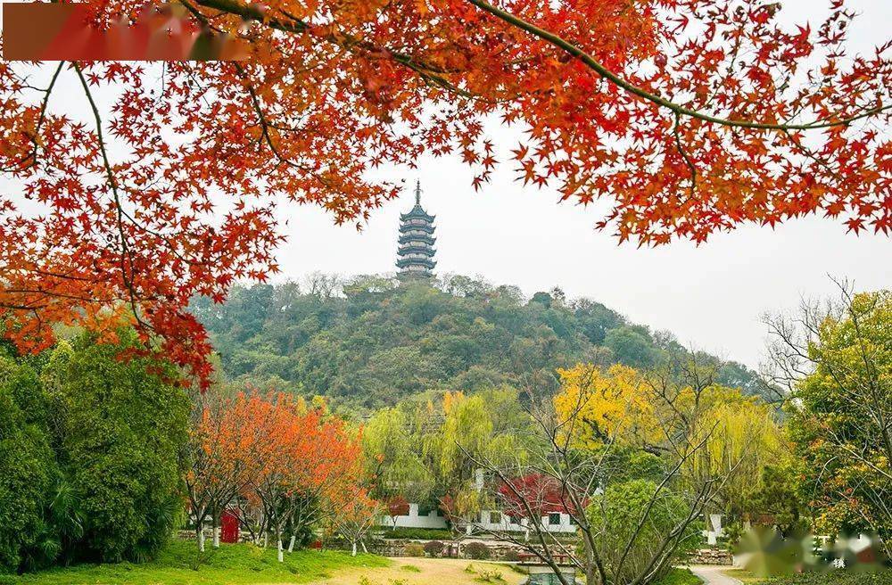 镇江的初冬美景打包送给你