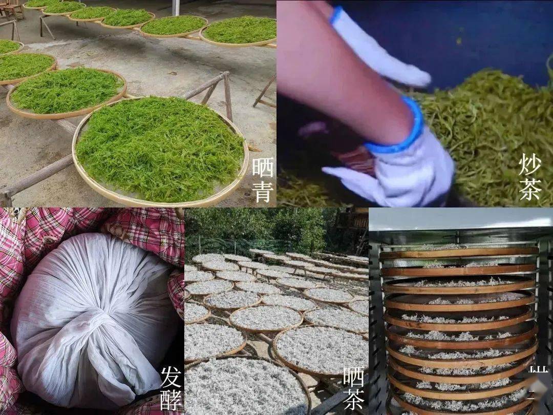 生活|提个醒：早晨起床，第一件事不是排便，也不是喝水，空腹喝它