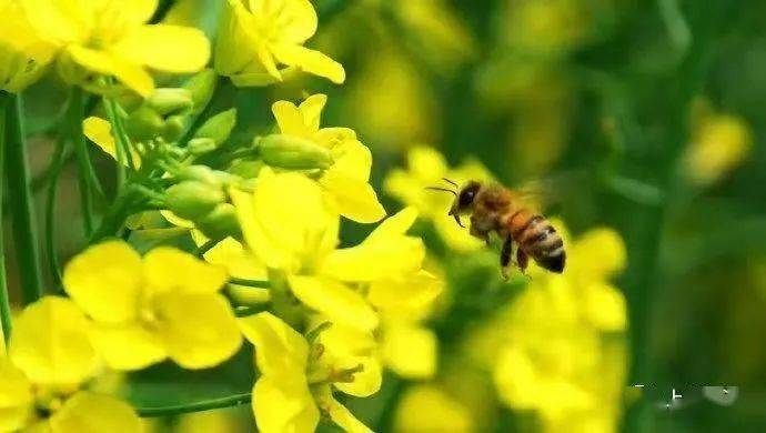 物质|过敏性鼻炎来袭，松江医生送来的防护“干货”请收好！