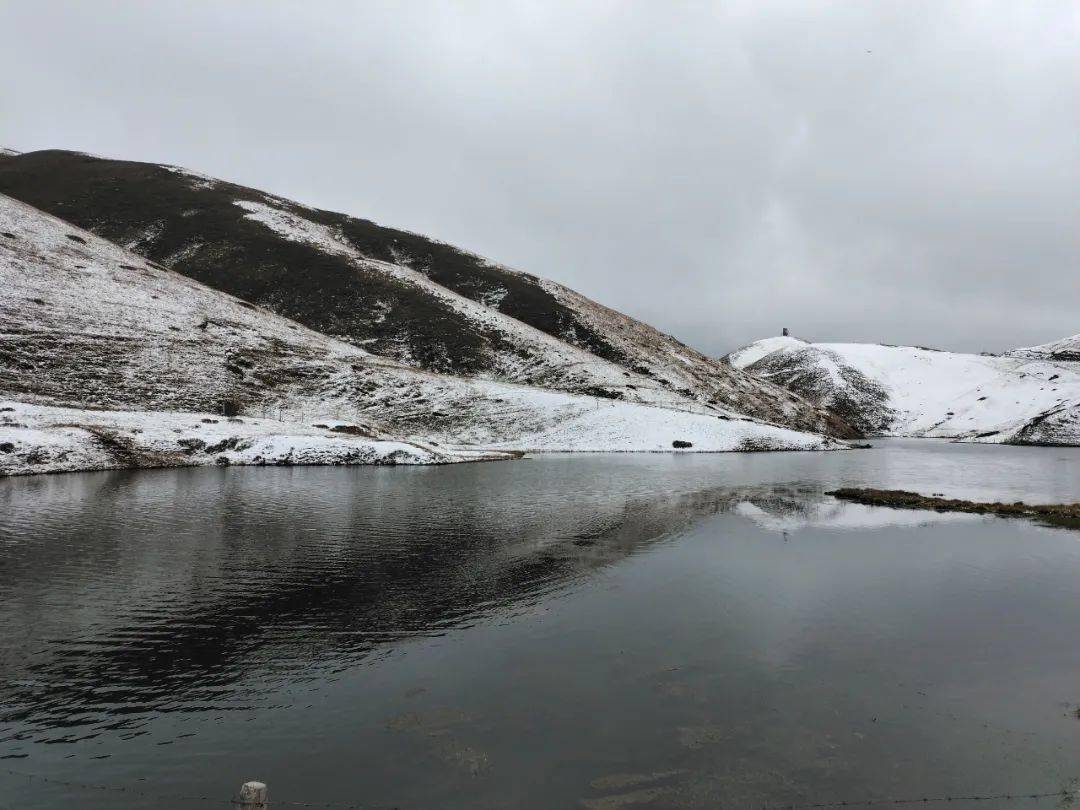 会泽大海草山下雪啦超美雪景来袭