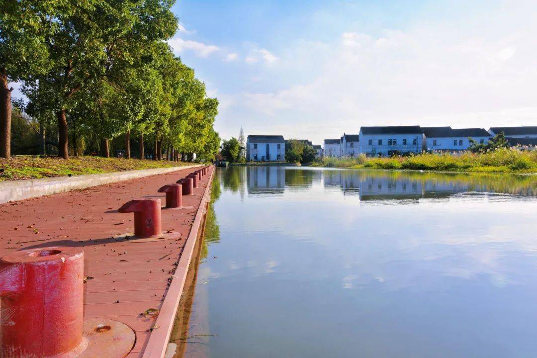 练塘这个村有了新气象