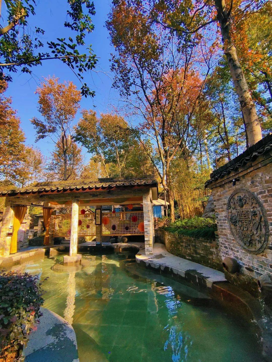 来永泉赏秋景送铜钱!_温泉_秋意浓_真汤