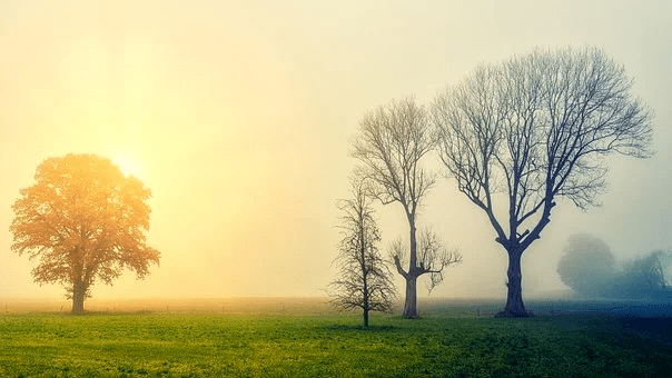 2021-11-27 19:55来源:                             暮船吹笛雨潇潇