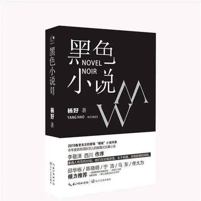 专访 | 杨好:我们这代写作者的怕和爱_长篇小说_男孩_问题