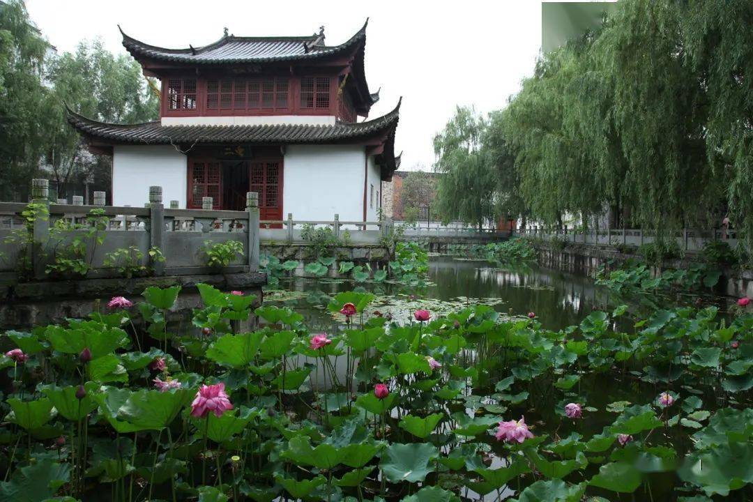 惊艳这位摄影师镜头下的庐山市居然这么美