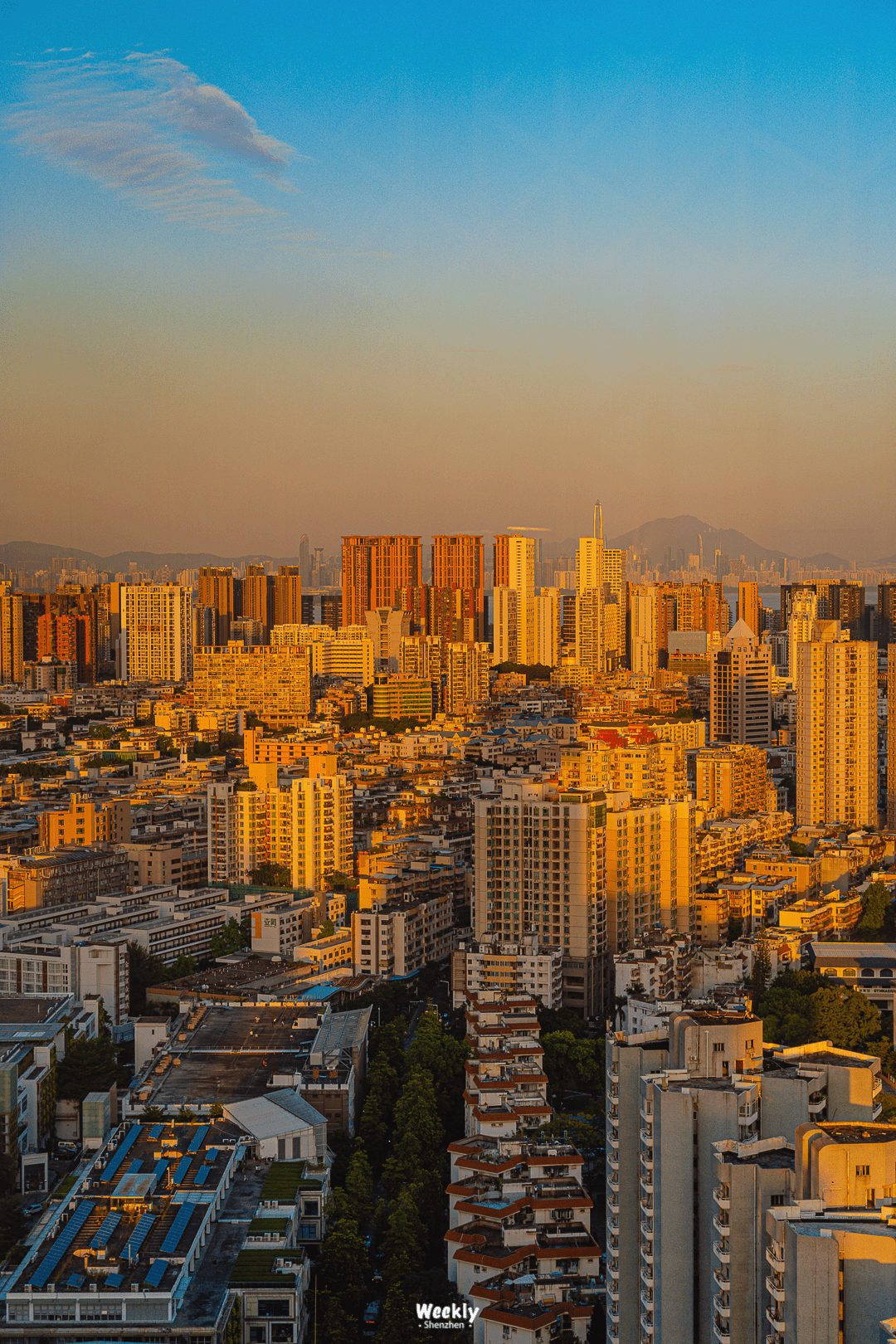 设计 深圳「最美服装店」，在海上，有夕阳