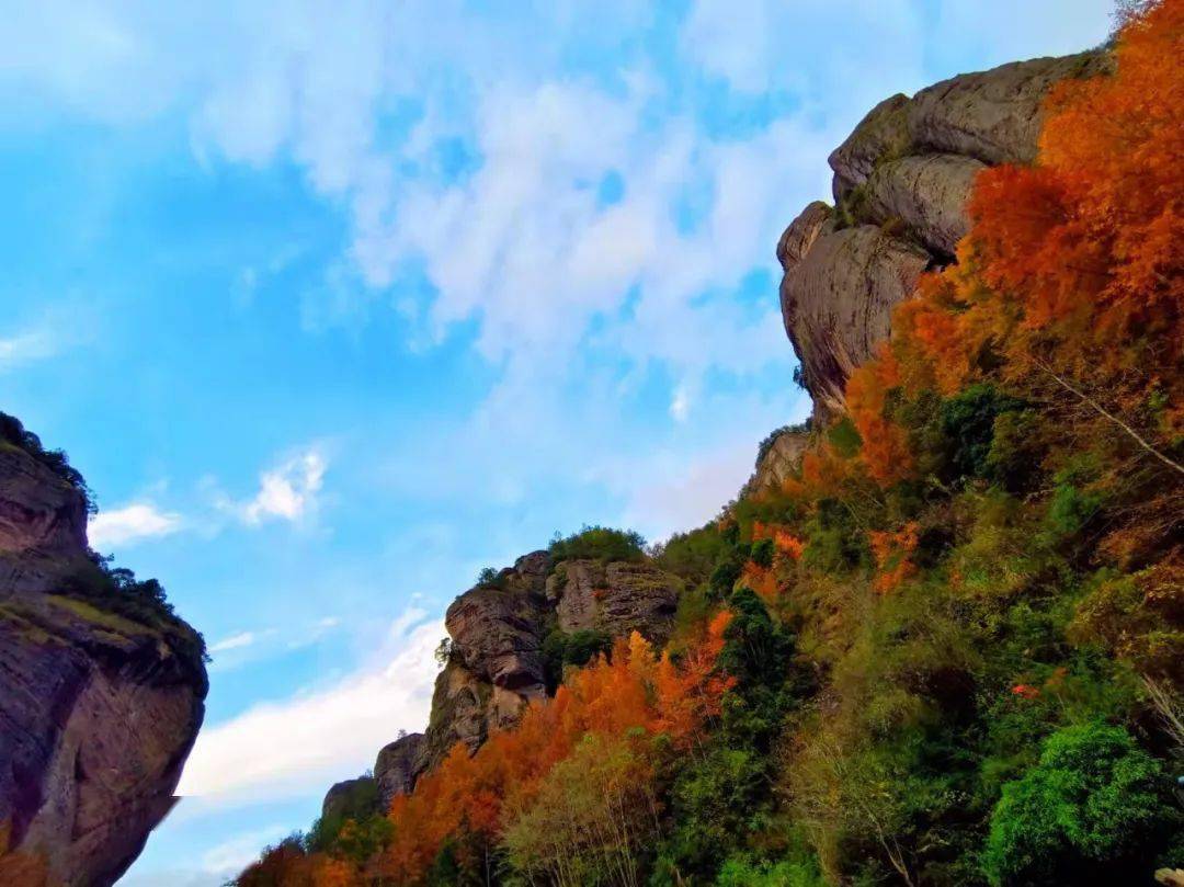 缙云岩门,"枫"景如画!