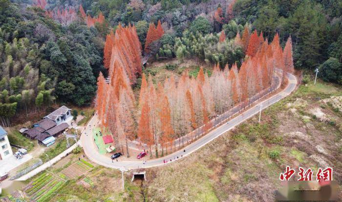 森林|500余名跑者福建龙栖山上演速度与激情较量