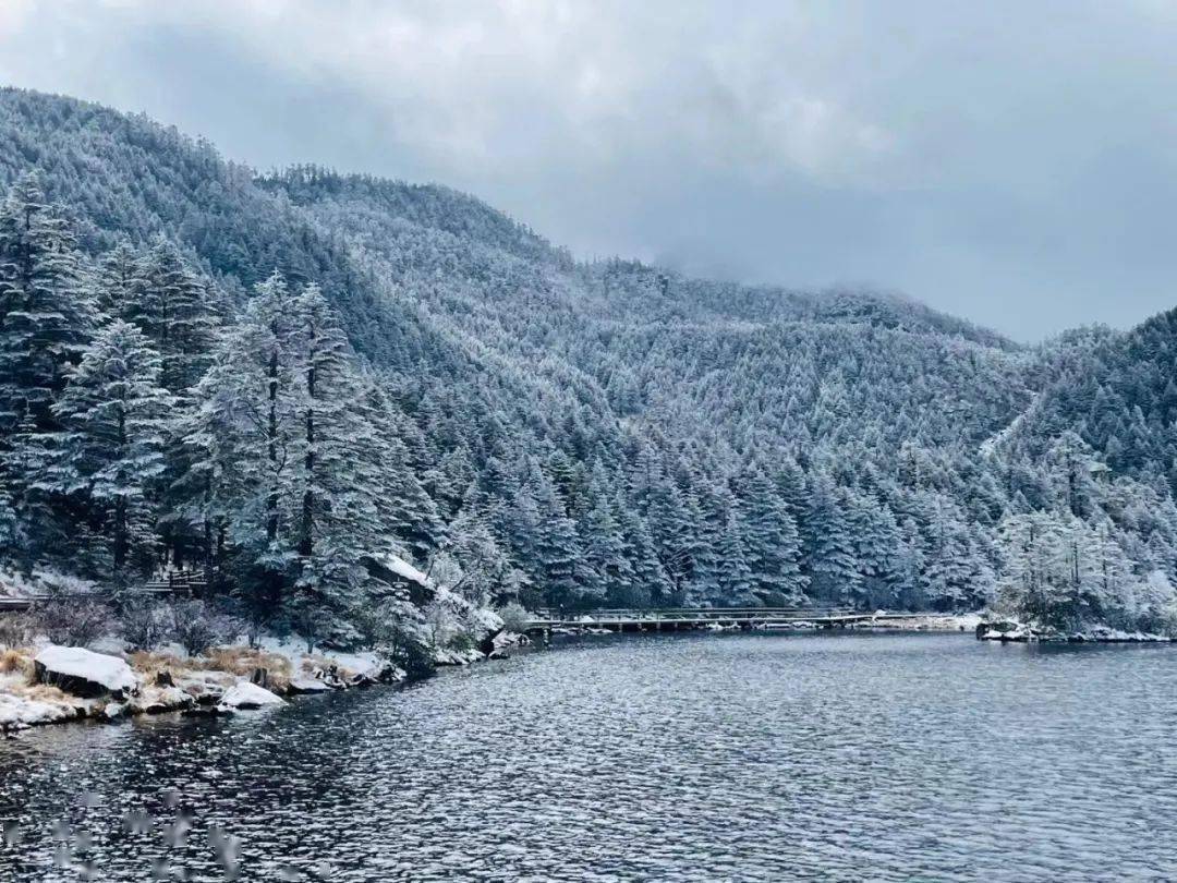 瑞雪倾城!来看2021年初冬第一场雪景