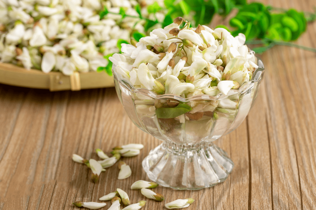 清热解毒的"名草"金银花_槐花_时候_境界