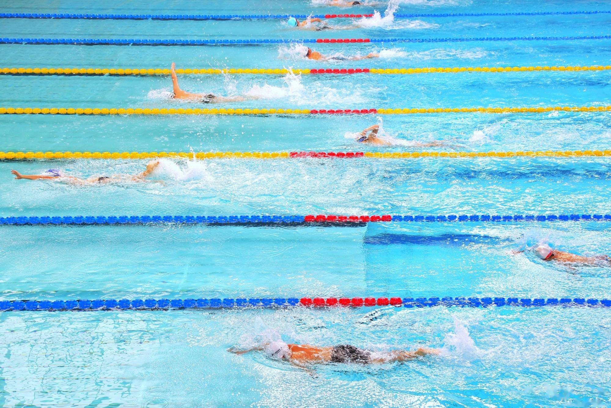 游泳比赛高清图图片