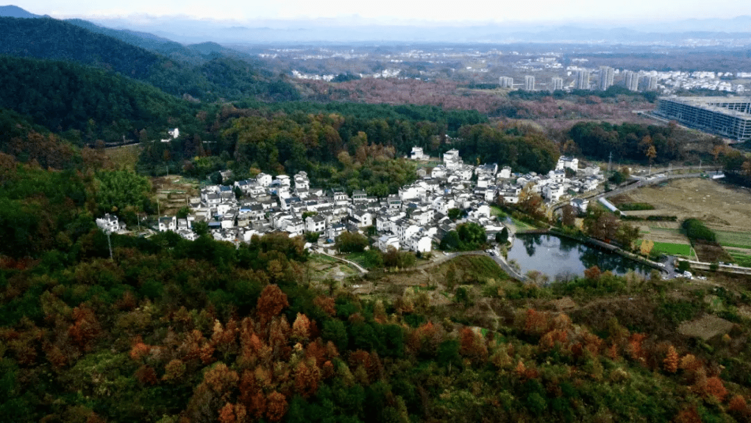 11月24日,徽州区西溪南镇琶塘村五彩斑斓的秋叶与皖南古村落遥相辉映