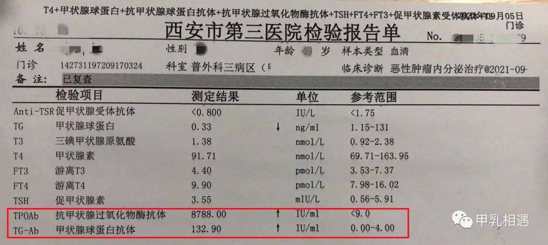 甲状腺化验单模板图片