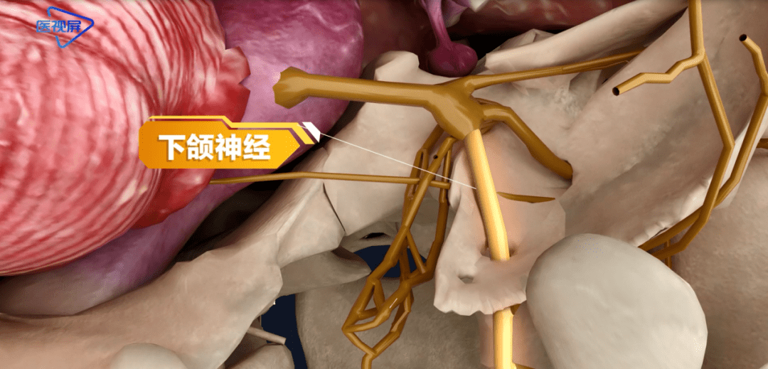 3d945ea2eefb4d559b27f4e0d85385c9.png