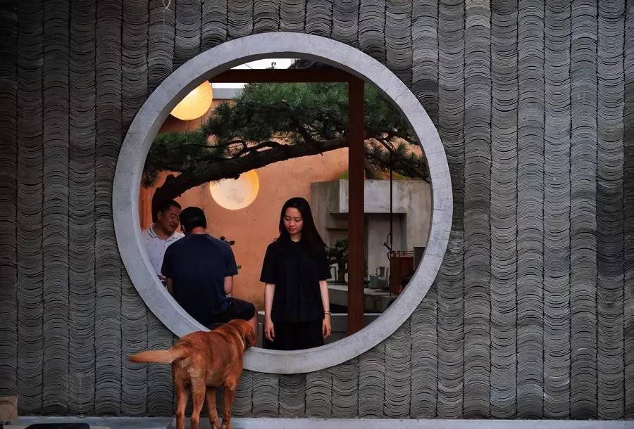 建筑师王欣为父亲造50㎡园子