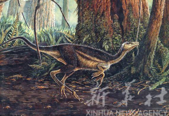 揭秘恐龙化石丨亿年前这种恐龙，为何被命名为“鸟”？