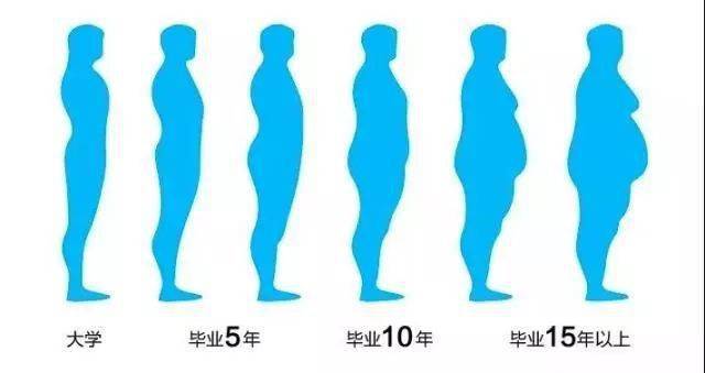 睡眠不足|为啥越忙越肥？越减越累？脂肪在跟我开玩笑么？