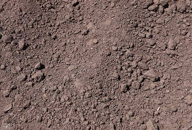 土壤病是什么?土壤病有哪些类型?矿源黄腐酸钾能防治土壤病吗?