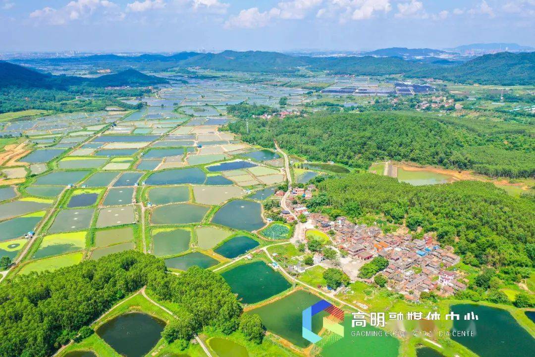 佛山这些美丽乡村绿韵水乡好风景