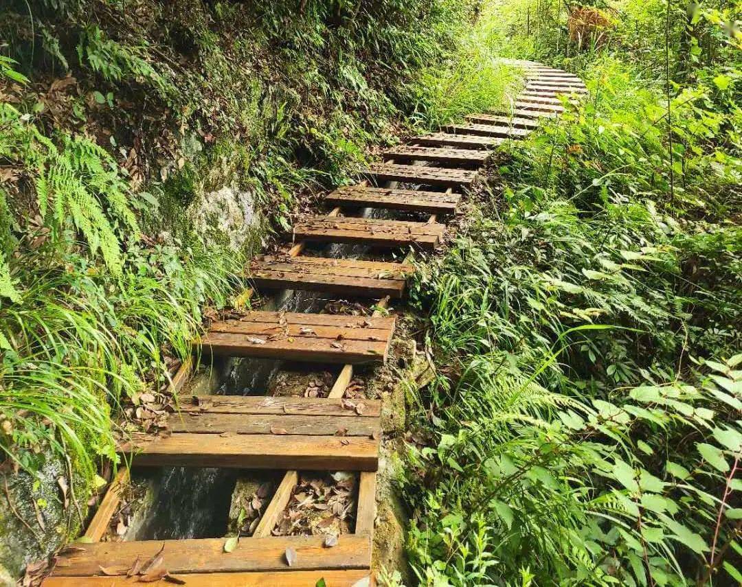 溆浦地罗子山登山步道