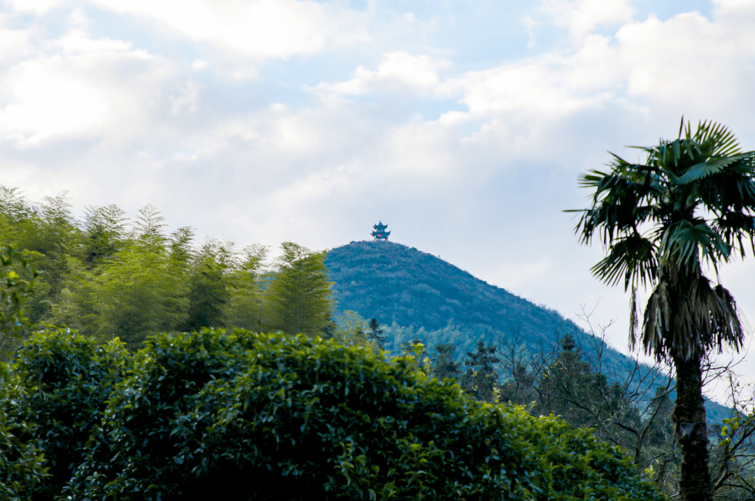 又添一景就在南昌湾里