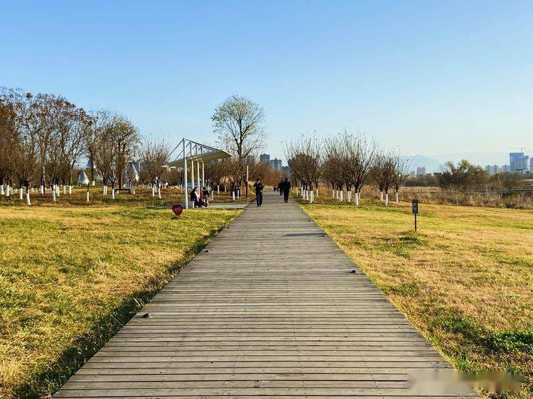 冬日里的天汉湿地公园风景如画