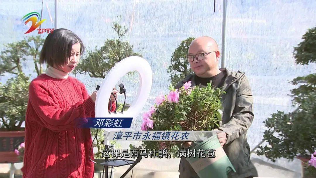 漳平:数字乡村引领特色产业发展_陈光地_销售_种植