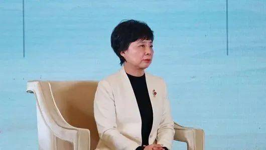 届(黄冈)东坡文化节"东坡联盟城市访谈"中,黄冈市副市长陈少敏表示