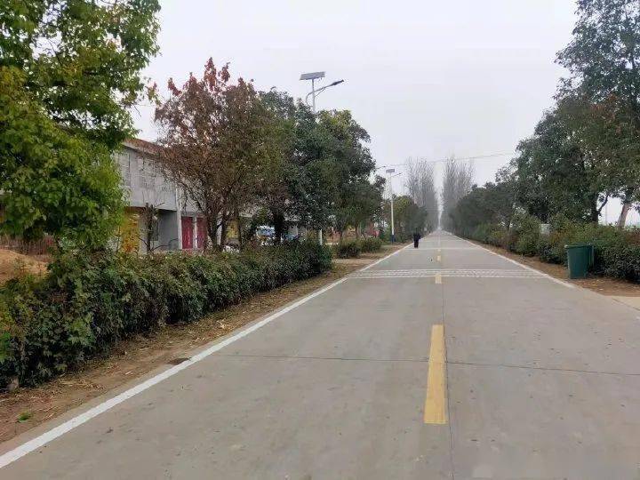交通运输局_公路_路面