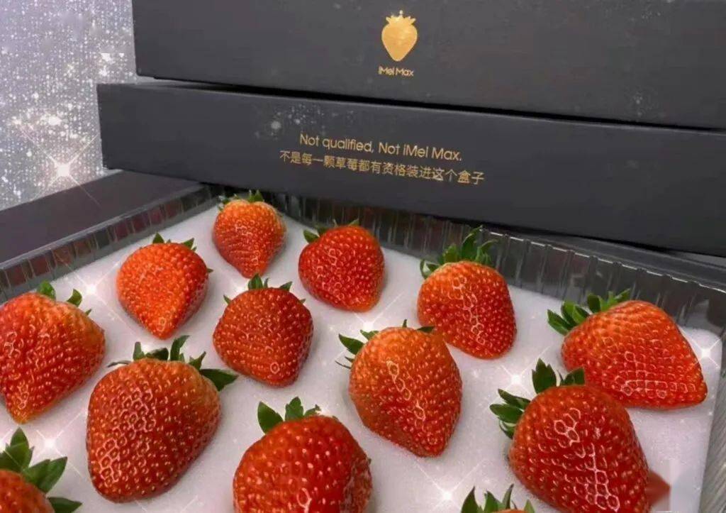 果礼订阅制平台 "采果猴子" 完成数百万元天使轮融资