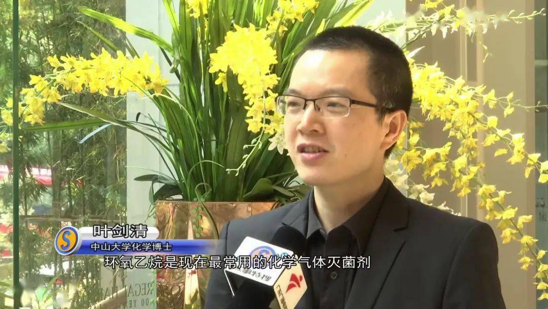 "专家表示……_从化_残留_叶剑清