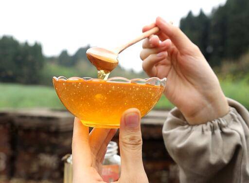 心脏不好可不可以吃蜂蜜?_身体_血管_心肌